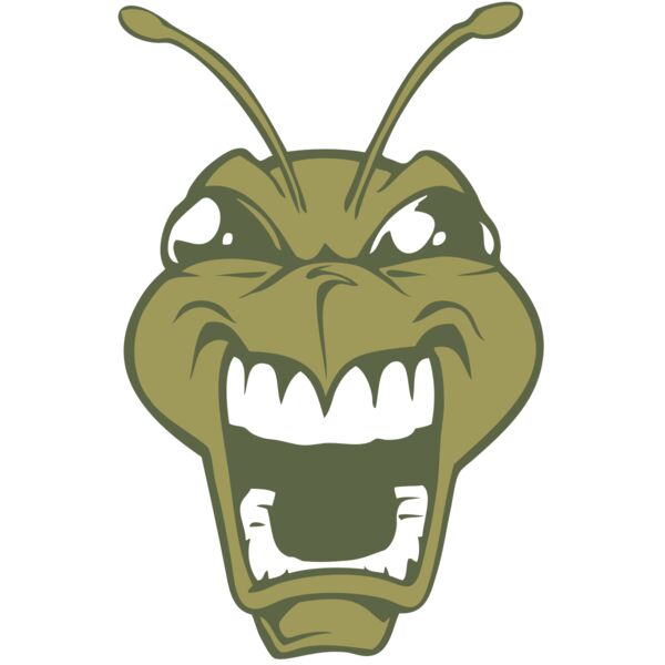 BAW BEE 13 RC Thumbnail