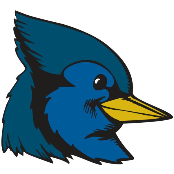 BAW BLUEJAY 07 RC Thumbnail