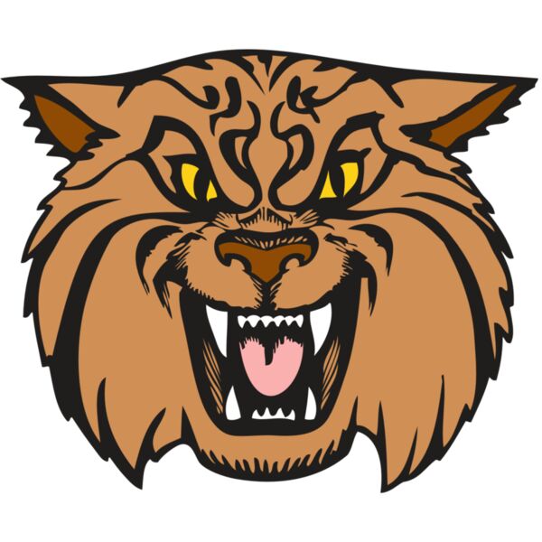 BAW WILDCAT 04 RC Thumbnail